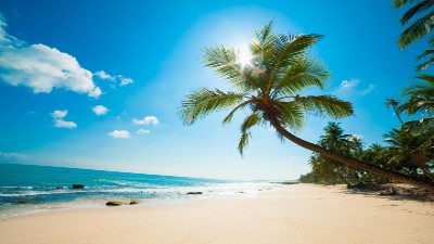 Florida & Karibienkryssning